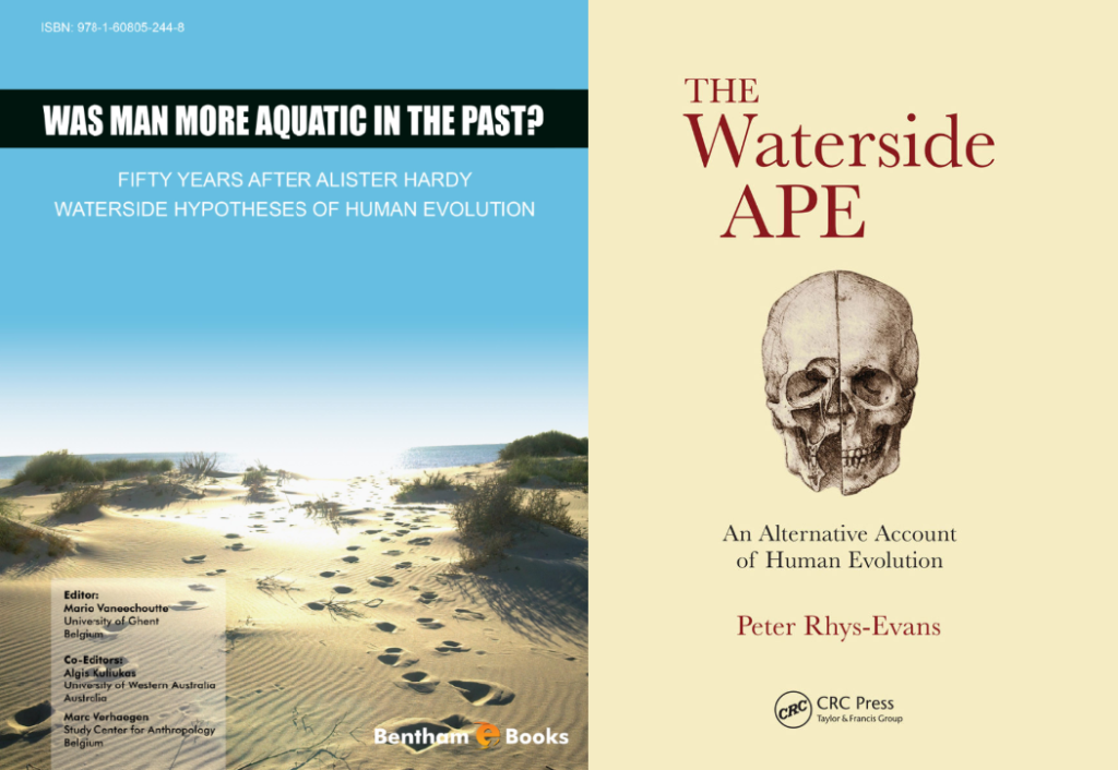 What is the “aquatic ape hypothesis” anyway? River Apes (… Coastal